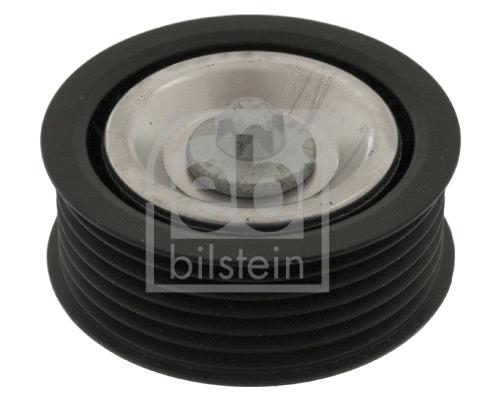پولی هرزگرد فبی بیلشتاین (FEBI BILSTEIN)  - 49372