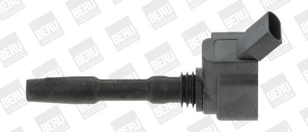 کوئل بورگوارنر (BERU) (BorgWarner (BERU))  - ZSE137