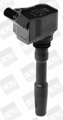 کوئل بورگوارنر (BERU) (BorgWarner (BERU))  - ZSE137 1