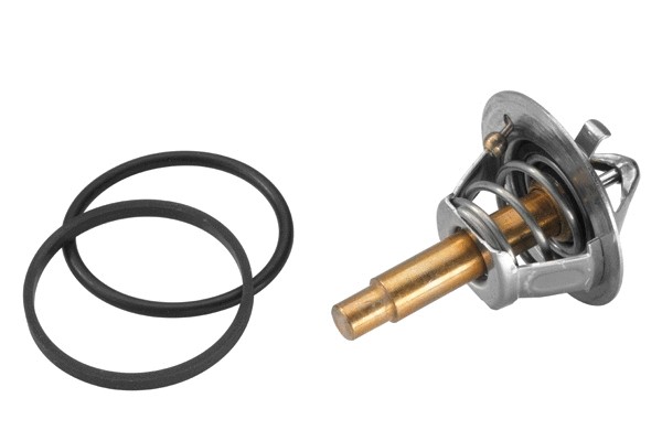 ترموستات بورگوارنر (والر) (BorgWarner (Wahler))  - 3457.90D 1