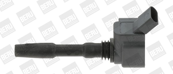 کوئل بورگوارنر (BERU) (BorgWarner (BERU))  - ZSE137 0