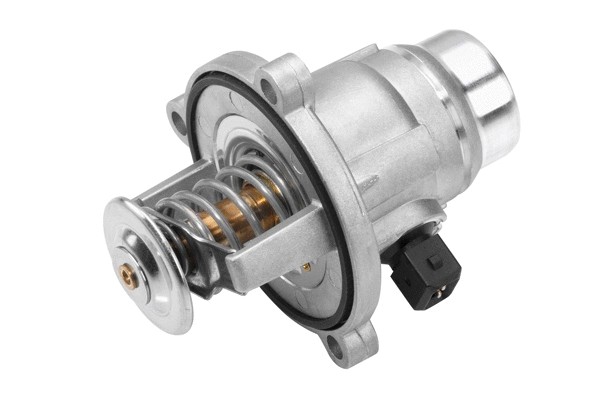 ترموستات بورگوارنر (والر) (BorgWarner (Wahler))  - 4508.101D 1